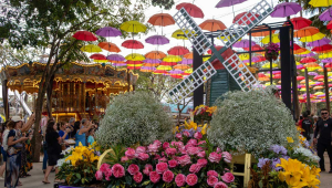 Expoflora em Holambra e Festa das Flores em Atibaia